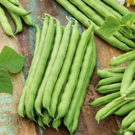 FASOLA SZPAR.ZIELONA CROPPER TEEPEE 40G LEGUTKO.