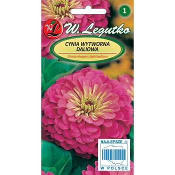 CYNIA DALIOWA RÓŻOWA ILLUMINATION  1G LEGUTKO