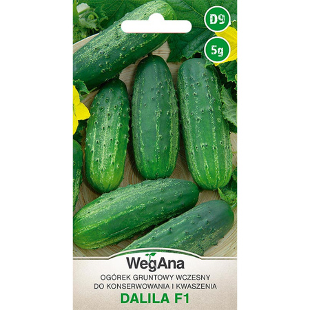 OGÓREK DALILA F1. 5G WEGANA /WCZ/300/