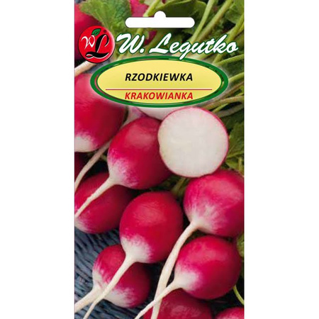 RZODKIEWKA KRAKOWIANKA 5G LEGUTKO /CZER-BIAŁ.OKR/