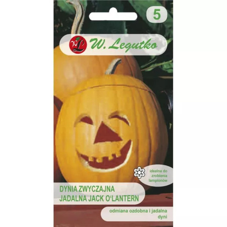 DYNIA OZD. JACK O'LANTERN 2G LEGUTKO