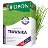 BIOPON-DŁUGODZIAŁAJĄCY DO TRAWNIKA 1kg