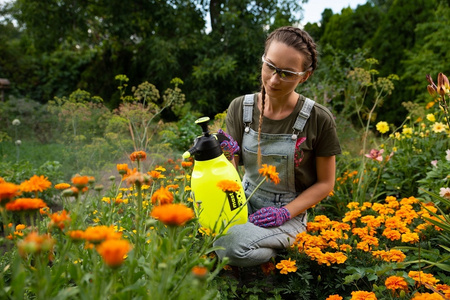 OPRYSKIWACZ MAROLEX MASTER 3000 Ergo /9/