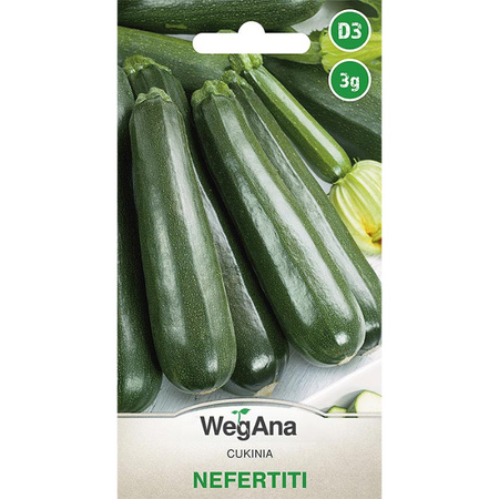 DYNIA ZW.CUKINIA NEFERTITI 3G WEGANA /C-ZIEL/300/.