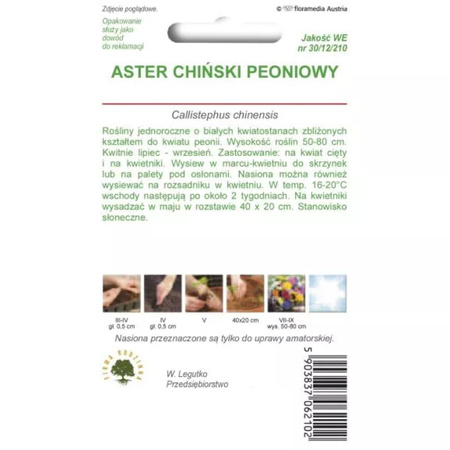 ASTER PEONIOWY BIAŁY 1G LEGUTKO