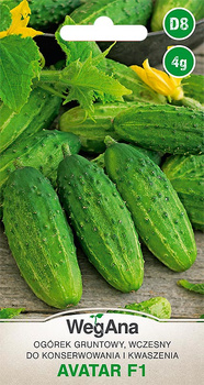 OGÓREK AVATAR F1 4G WEGANA /KONS. KWASZ/ WCZ/300/