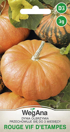 DYNIA OLB. ROUGE VIF D'ETAMPES 3G WEGANA/300/