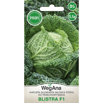 KAPUSTA WŁOSKA BLISTRA 0,5G WEGANA /PÓŹNA/600
