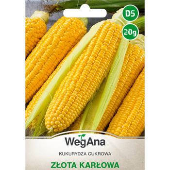 KUKURYDZA CUKR. ZŁOTA KARŁOWA 20G  WEGANA/70/.