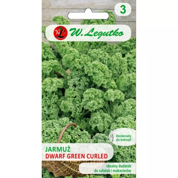 JARMUŻ DWARF GREEN CURLED 1G  LEGUTKO
