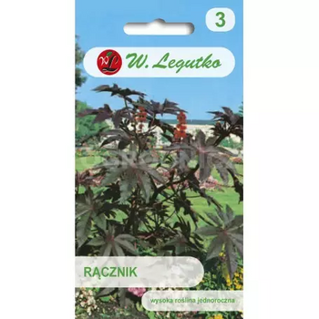 RĄCZNIK CZERWONY GIBSONII  6szt  LEGUTKO