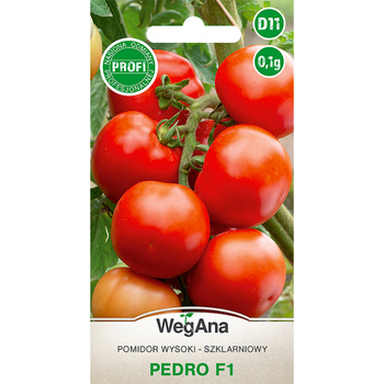POMIDOR PEDRO (F1)  0,1G WEGANA /CZER OKR /1500