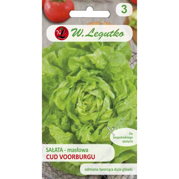SAŁATA CUD VOORBURGU 1G /LEGUTKO/ŚR.PÓŹNA  MASŁOW