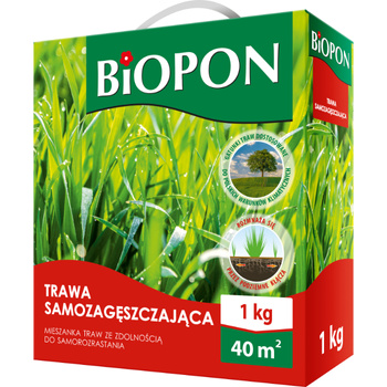 TRAWA  BIOPON SAMOZAGĘSZCZAJĄCA 1kg /6/ new