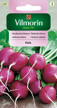 RZODKIEWKA VIOLA 5G VILMORIN /OKR.FIOLET/