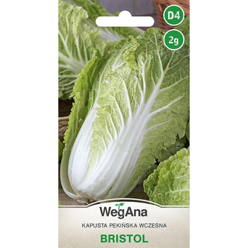 KAPUSTA PEKIŃSKA BRISTOL 2G WEGANA /WCZESNA/400