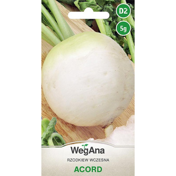 RZODKIEW ACORD 5G WEGANA /BIAŁA OKRĄGŁA WCZ/240