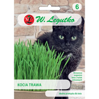 KOCIA TRAWA 25G LEGUTKO