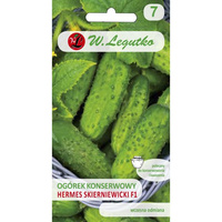 OGÓREK HERMES SKIER.MIES. 5G /KONS/ LEGUTKO/WCZES.