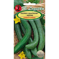OGÓREK LONGO DA CHINA 5G DŁUGI SAŁATK.  LEGUTKO