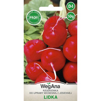 RZODKIEWKA LIDKA 10G WEGANA/ OKR. CZER/200/