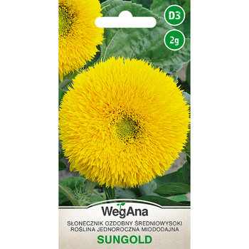 SŁONECZNIK OZDOBNY ŚR. WYS. SUNGOLD ŻÓŁ. 2G WEGANA