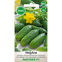 OGÓREK PARTNER (MIESZ. F1)  2G WEGANA/500/