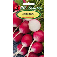 RZODKIEWKA KRAKOWIANKA 5G LEGUTKO /CZER-BIAŁ.OKR/