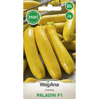 DYNIA ZW.CUKINIA PALADIN (F1) 2G WEGANA /ŻÓŁTA/340