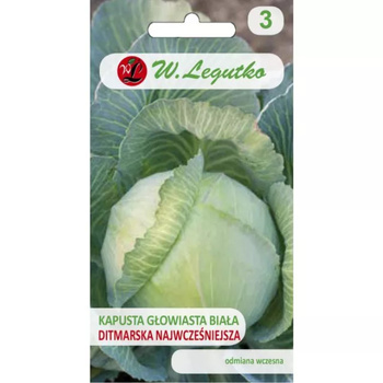 KAPUSTA B. DITHMARSKA 2G LEGUTKO/B.WCZESNA/