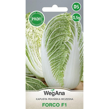 KAPUSTA PEKIŃSKA FORCO (F1) 0,5G WEGANA /WCZ/600