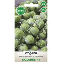 KAPUSTA BRUKSELKA DOLORES 0,5G WEGANA /WCZ/600