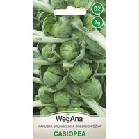 KAPUSTA BRUKSELSKA CASIOPEA 2G WEGANA /ŚR.PÓŹ/400