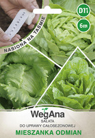 TAŚMA SAŁATA MIESZ.ODM. 6M WEGANA/MASŁ/LOD/RZYM