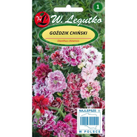 GOŹDZIK CHIŃSKI  MIX 1G LEGUTKO