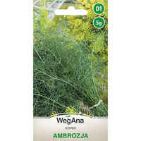 KOPER AMBROZJA 5G WEGANA/300/