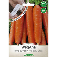 TAŚMA MARCHEW DARINA 6M WEGANA /PÓŹNA/100/