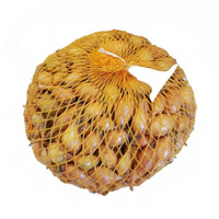 CEBULA  DYMKA WOLSKA IV  1kg /10szt/.