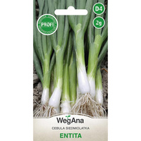 CEBULA SIED. BIAŁA ENTITA 2G WEGANA/300/