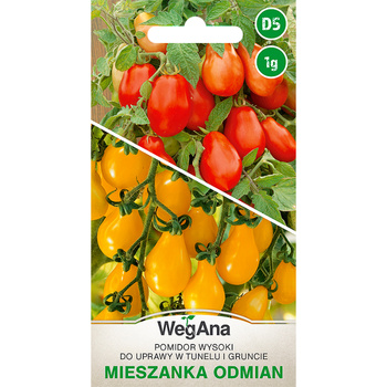 POMIDOR MIESZ. TYP CHERRY 1G WEGANA /GRUSZKA/600/