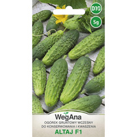 OGÓREK ALTAJ (MIESZ. F1) 5G WEGANA /KONS. WCZ/300/