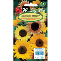 SŁONECZNIK OZD.WYS. POJ. MIESZ. 3G LEGUTKO