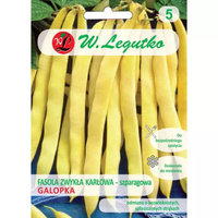 FASOLA SZPAR.ŻÓŁTA GALOPKA 40G LEGUTKO /SZER.WCZ/