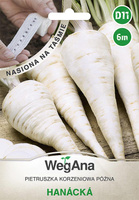 TAŚMA PIETRUSZKA HANACKA 6M WEGANA /PÓŹNA/