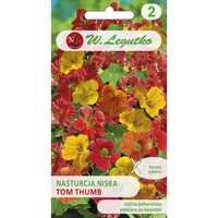 NASTURCJA NISKA  MIX TOM THUMB 5G LEGUTKO