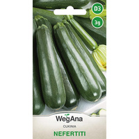 DYNIA ZW.CUKINIA NEFERTITI 3G WEGANA /C-ZIEL/300/.