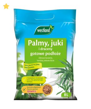 PODŁOŻE WESTLAND 8L PALMA JUKA DRACENA /8/128/.