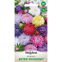 ASTER PEONIOWY MIX 1G WEGANA /700/.