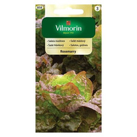 SAŁATA ROSEMARRY 1G VILMORIN /MASŁ.CZERW./