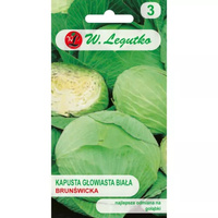 KAPUSTA B. BRUNŚWICKA 2G LEGUTKO/ŚR.PÓŹNA/